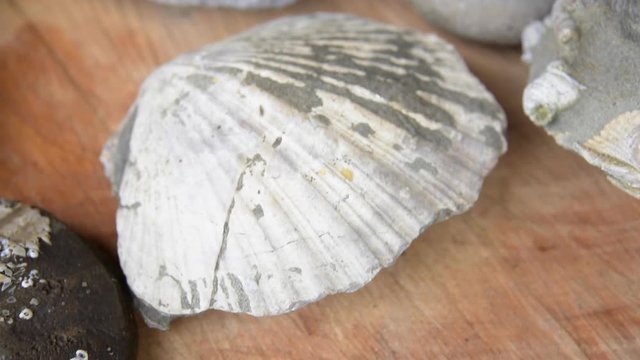 Artefactos arqueol&oacute;gicos e hist&oacute;ricos de la isla mocha