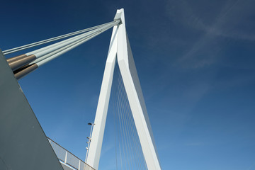 Rotterdam city cityscape with Erasmus bridge, South Holland, Netherlands.