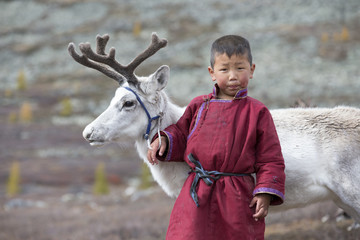 Naklejka premium tsaatan boy, dressed in a traditional deel with a reindeer in a northern Mongolia