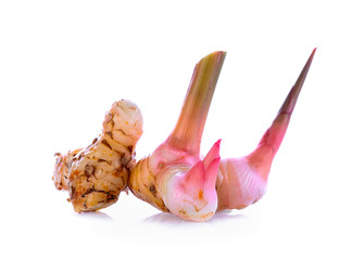 Greater galangal isolated on the white background