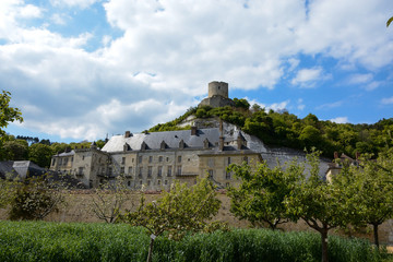 Fototapeta na wymiar château de la Roche Guyon