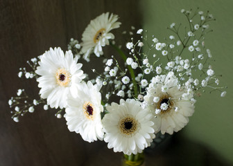 Obraz premium white flowers in vase