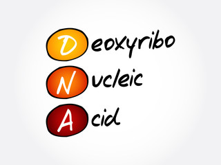 DNA - Deoxyribonucleic Acid, acronym concept background