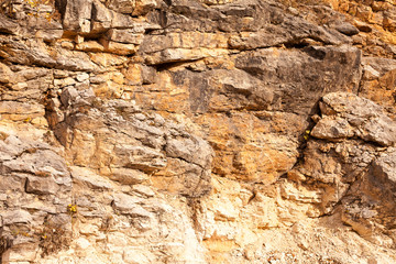 life, biology, ecology concept. grains of various weeds are transferred by wind to the cracks of the mountain side and then they are growing there, fighting for their existence