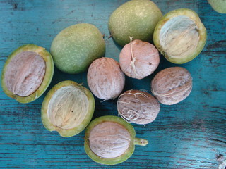 Obraz na płótnie Canvas walnut milk ripeness in green peel in bulk on a screw of a green wood background