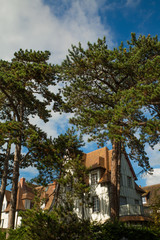 Fototapeta na wymiar Maison traditionelle de Deauville entourée de grands pins - vue depuis la rue