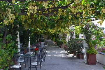 Garden of the restaurent 
