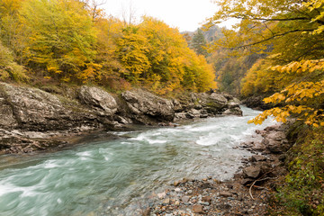 lanscape, countryside, fishing concept. two banks of the river, two similar sides covered with yellow trees that are preparing for autumn, between the rocky lands there is light green river