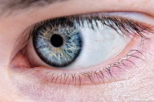 Man's eye in close up macro natural