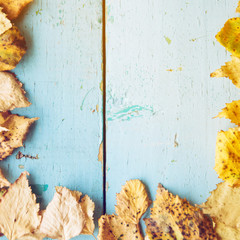 Autumn Leaves over wooden background