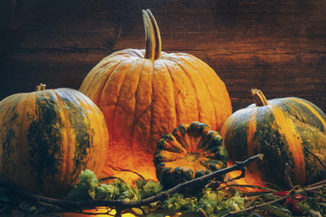 solid crust of pumpkin. on a wooden background. toned. grass and branches. halloween style