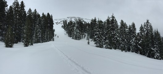 Snow Panorama 
