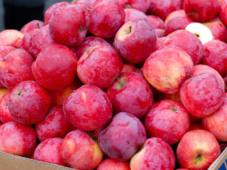 A lot of red apples. Many red apples.