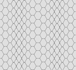 vector seamless texture of snake skin