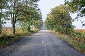 road in the countryside