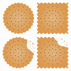 Biscuit, cracker with bite marks and crumbles. Vector illustration.