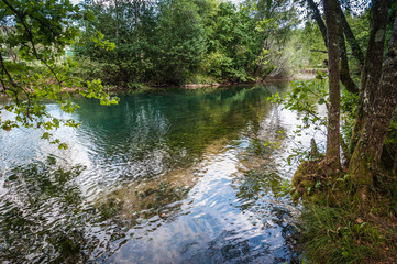 Transparent and crystalline Livenza river source waters, Santissima, Friuli, Italy