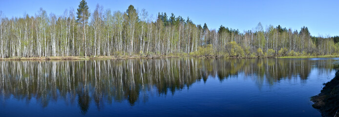 Panorama of the spring river.