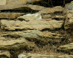Natural carved stone wall like art texture, background