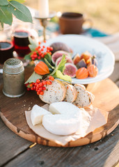 meal, treatment, healthy lifestyle concept. still life composed of wooden tray on which fresh piece if cheese, good bread, red rowanberries, plate with some fruits and oldstyle pepper shaker
