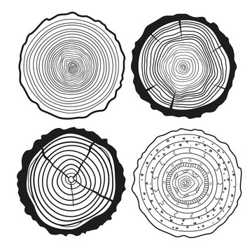 Tree rings. Set of cross section of the tree.Set of tree rings on isolation background. Conceptual graphics. Line art. Objects for design. Decorative style.Outline for printing, posters and other