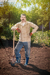 Farmer working in the garden with the help of a shovel digging the ground, on a sunny day