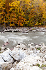 nature, water cycle, alternative energy sources concept. nearby with fast flowing river with rough waters there are white stones that are shining in the weak light of autumn sun
