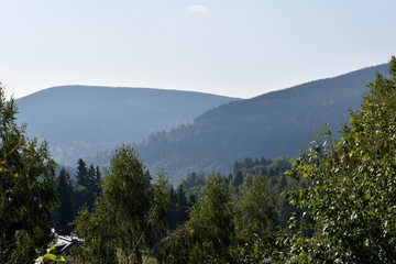Fototapeta na wymiar Panoramic View of Mountain and Trees