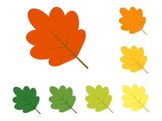 Leaves in different colors 