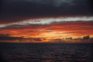 Naklejka premium Hawaii Sunset