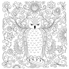 black and white floral owl for adult coloring