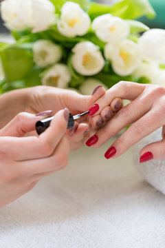 Close-up of the hands of a skilled manicurist applying elegant red nail polish on the medium length nails, of a young woman in a trendy beauty salon