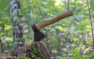 an ax in the woods