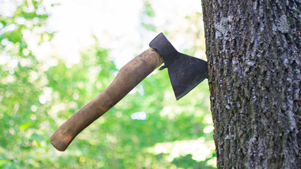 an ax in the woods