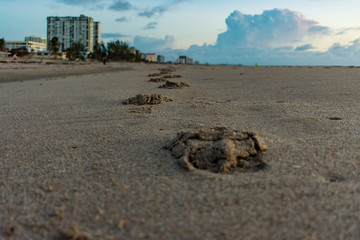 close up of footprints in the sand with buildings and the sky in the background