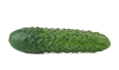 Fresh cucumber on white background
