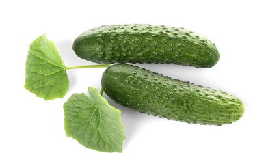 Fresh cucumbers on white background