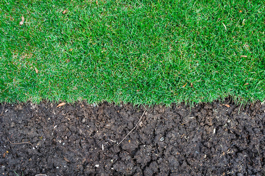 Edge Of Grass Turf Ending At Fertile Dirt.