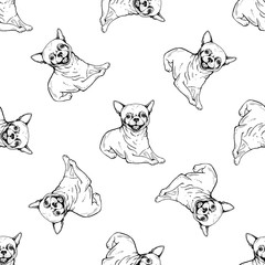 Seamless pattern of hand drawn sketch style chihuahua. Vector illustration isolated on white background.