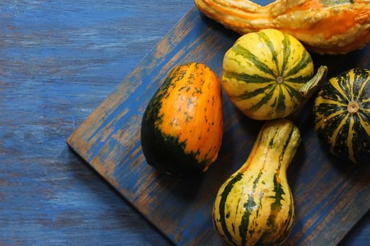 Winter Squashes / Autumn  Fall background