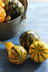 Winter Squashes / Autumn  Fall background