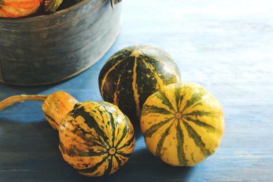 Winter Squashes / Autumn  Fall background
