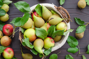 Basket with apples and pears on dark wooden background