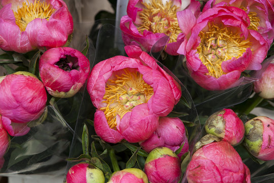 the pink peonies in a wedding bouquet to decorate a wedding table