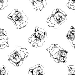 Seamless pattern of hand drawn sketch style bulldogs. Vector illustration isolated on white background.
