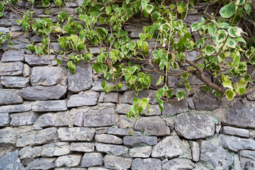 Fragment of old gray stone wall made of different form and siz