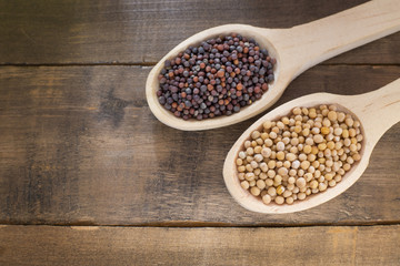 Seeds of yellow and black mustard