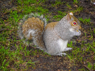 Visiting London in England