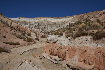 Colourful eroded rock formations along Quebrada Chuba, a river valley high on the Altiplano of northern Chile in Lauca National Park.