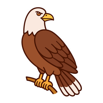 Eagle cartoon illustration